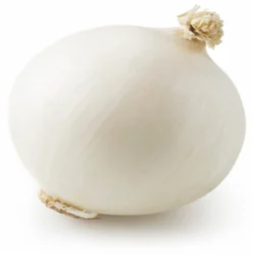 Maati Tatva Agro White Onion UAE Distributor